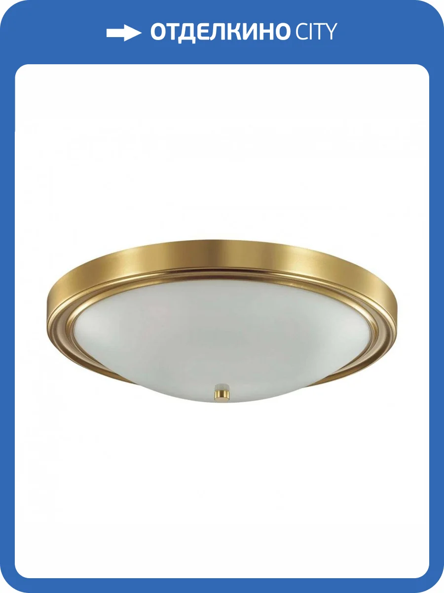 Настенно-потолочный светильник Lumion Vintage 5259/4C фото 4