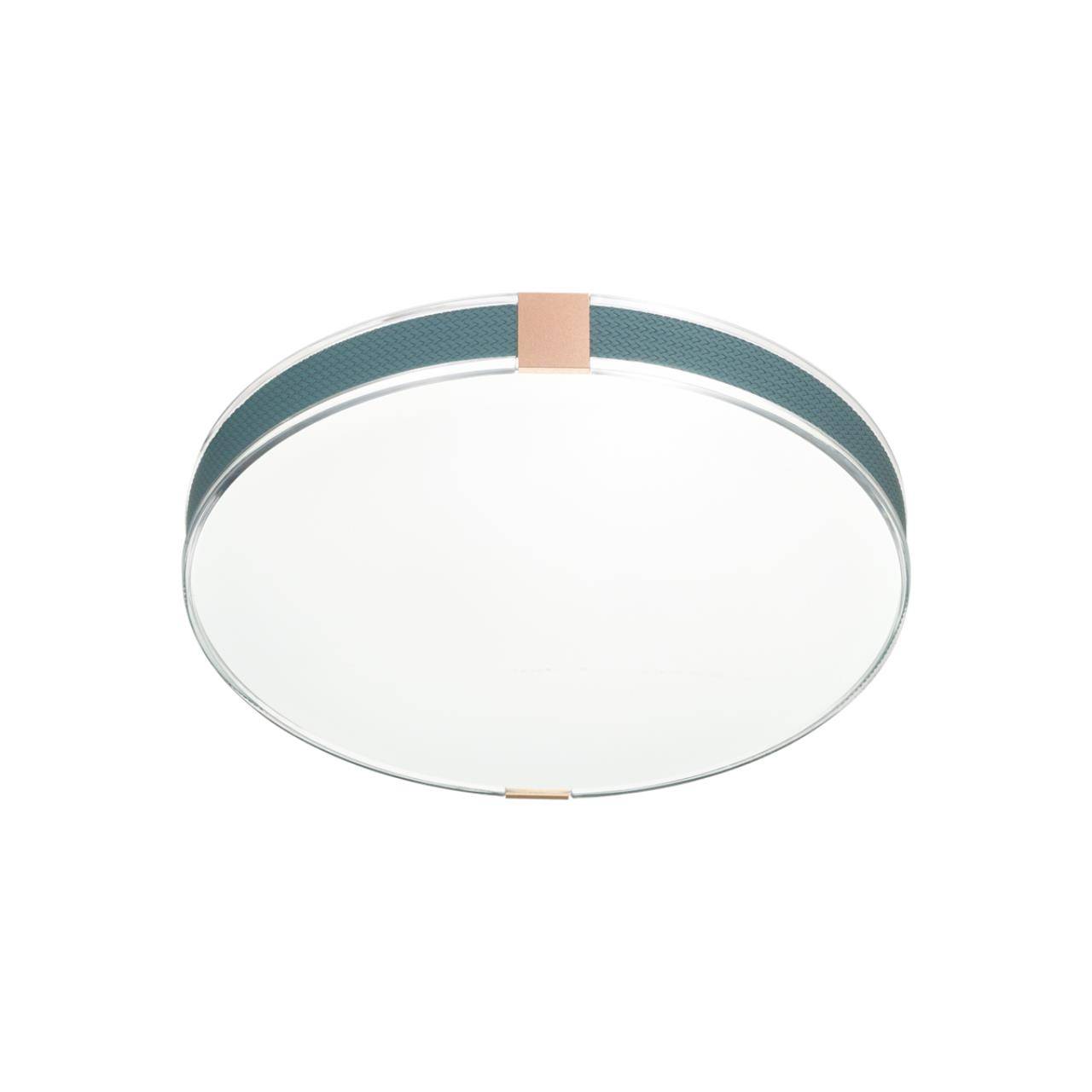 Настенно-потолочный светильник Sonex Otiga Blue 7677/DL фото 2