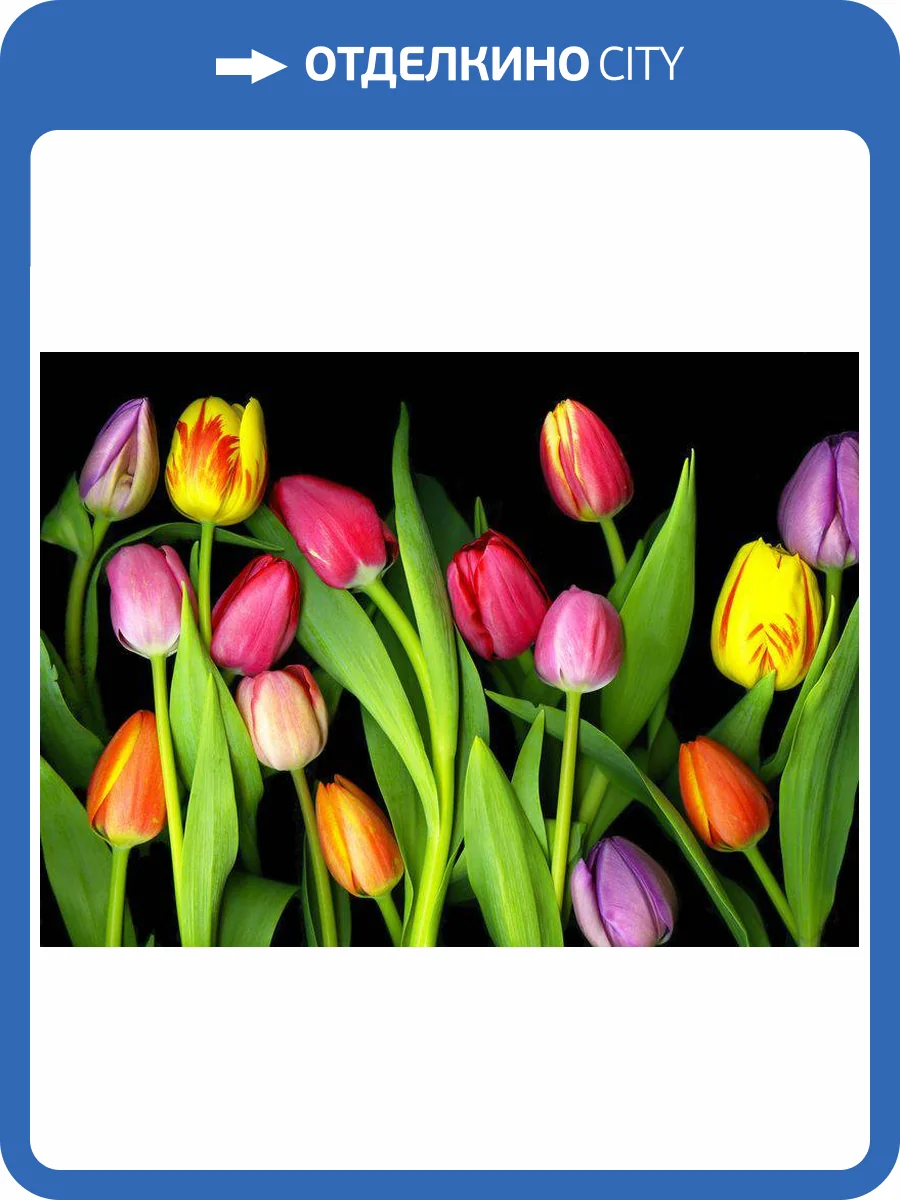 3D Фотообои Artegrafico «Тюльпаны на темном фоне» TUL-013 канвас фото 2