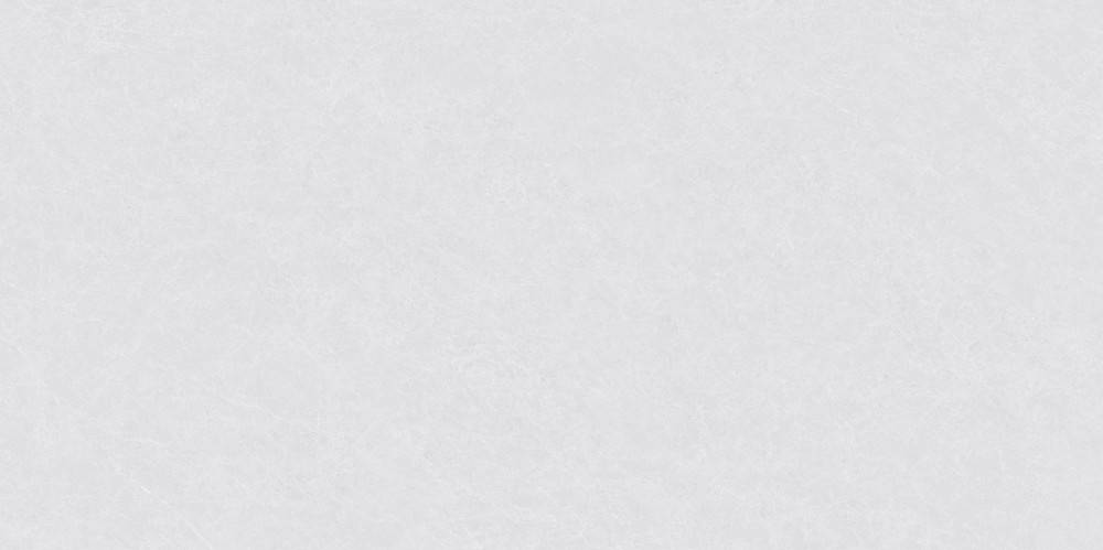 Керамогранит Wan Sheng Porcelain Tile AC-M1053 Матовый 60x120 фото 4