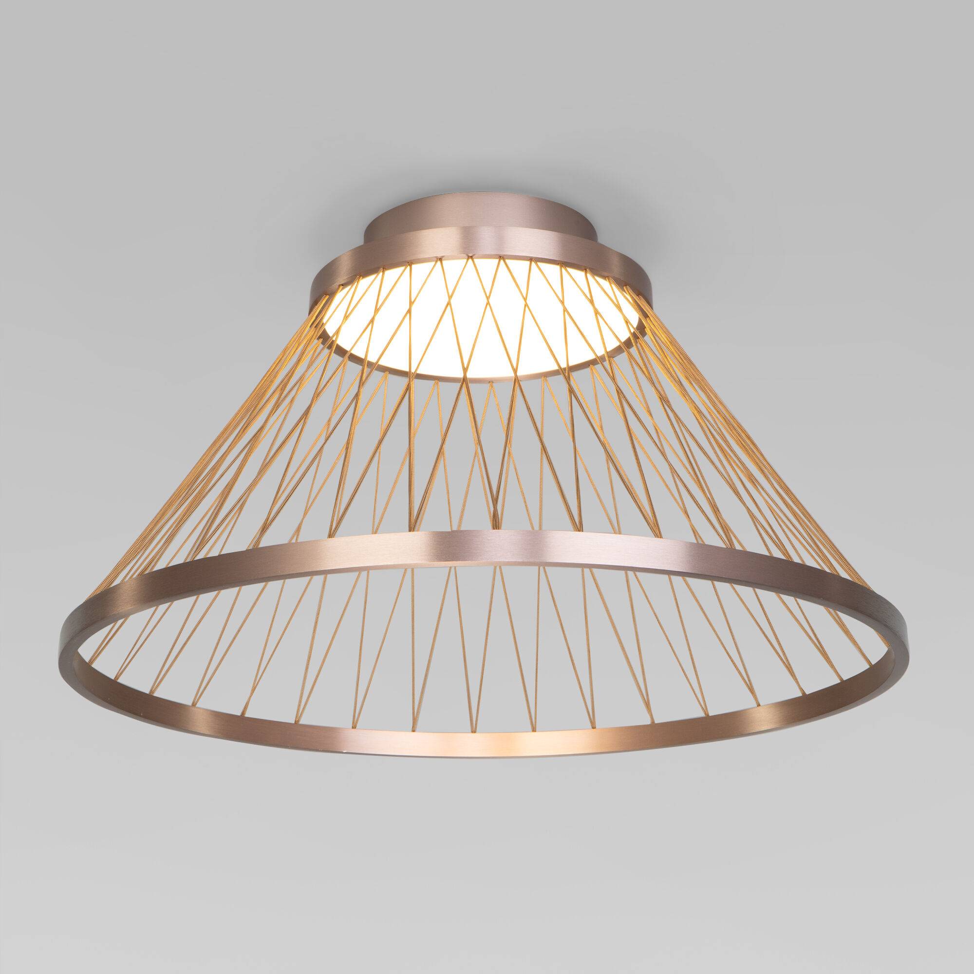 Потолочный светодиодный светильник Eurosvet Cesta 40019/1 LED коричневый фото 2