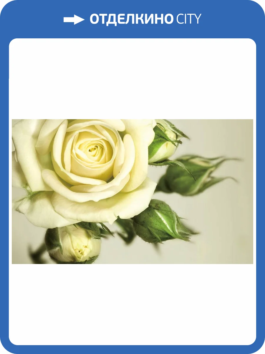 3D Фотообои Artegrafico «Бежевая роза» R838-2 акварель фото 2