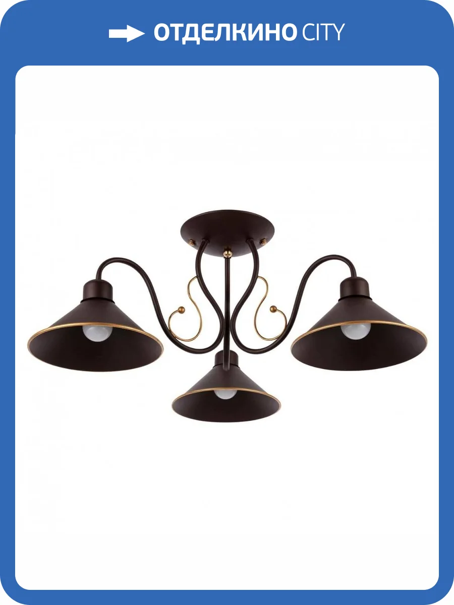 Потолочная люстра Evoluce Ciolla SLE120402-03 фото 3