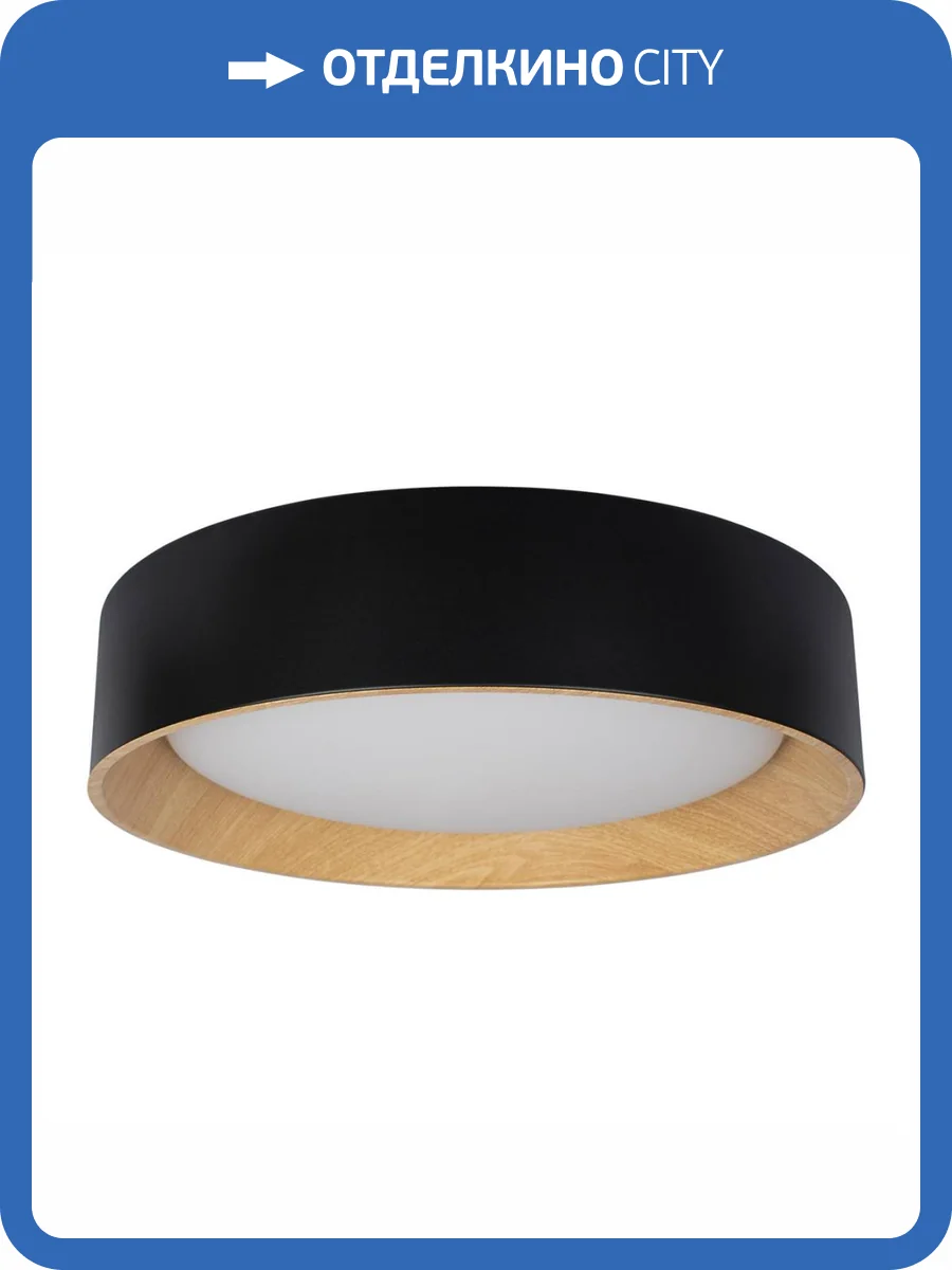 Потолочный светодиодный светильник Loft IT Coin 10202 Black фото 6