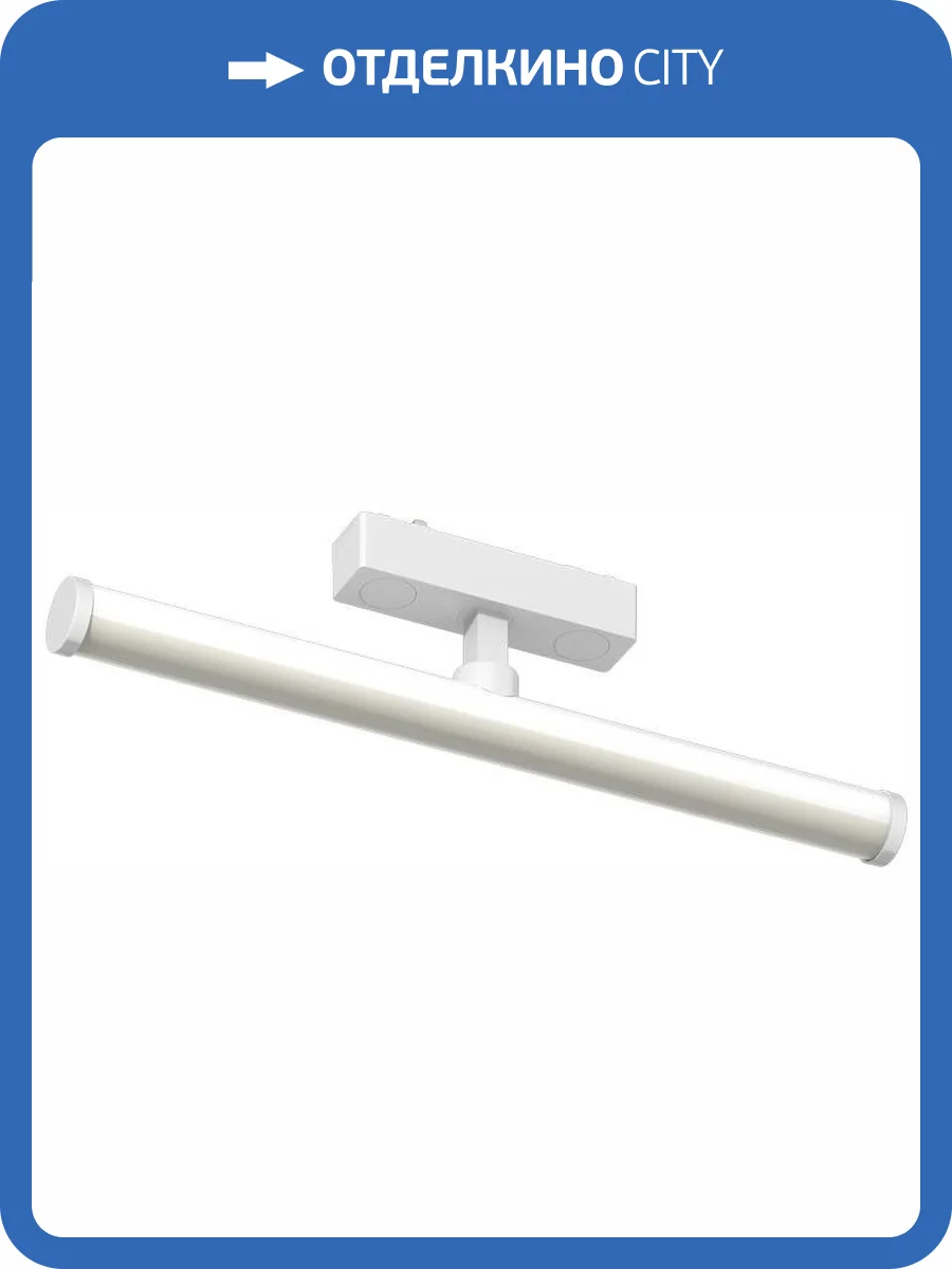 Трековый светильник Aployt APL.0121.10.10 фото 2