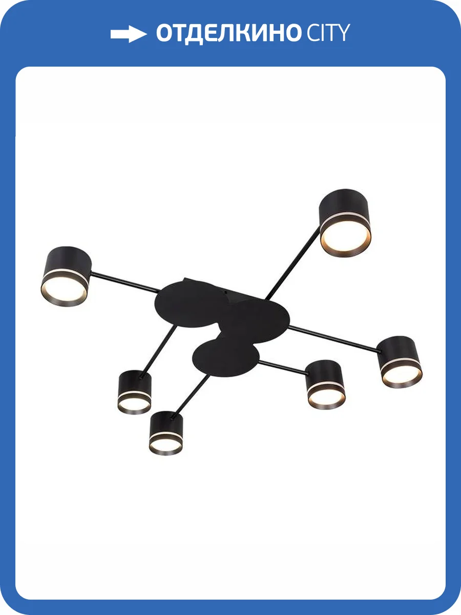 Светильник потолочный Arte Lamp Legacy A8024PL-6BK фото 2