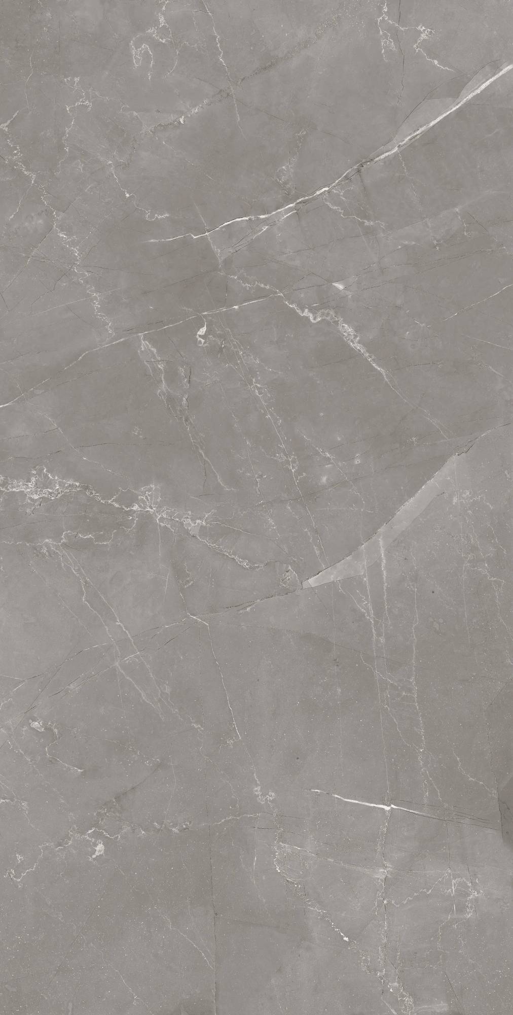 Керамогранит Eternal Thunder Sky ETMAR1245CR60120 Carving 60x120