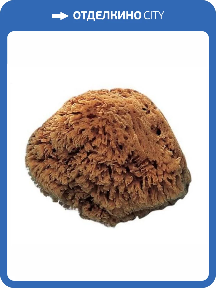 Губка морская натуральная Vaiven фото 2