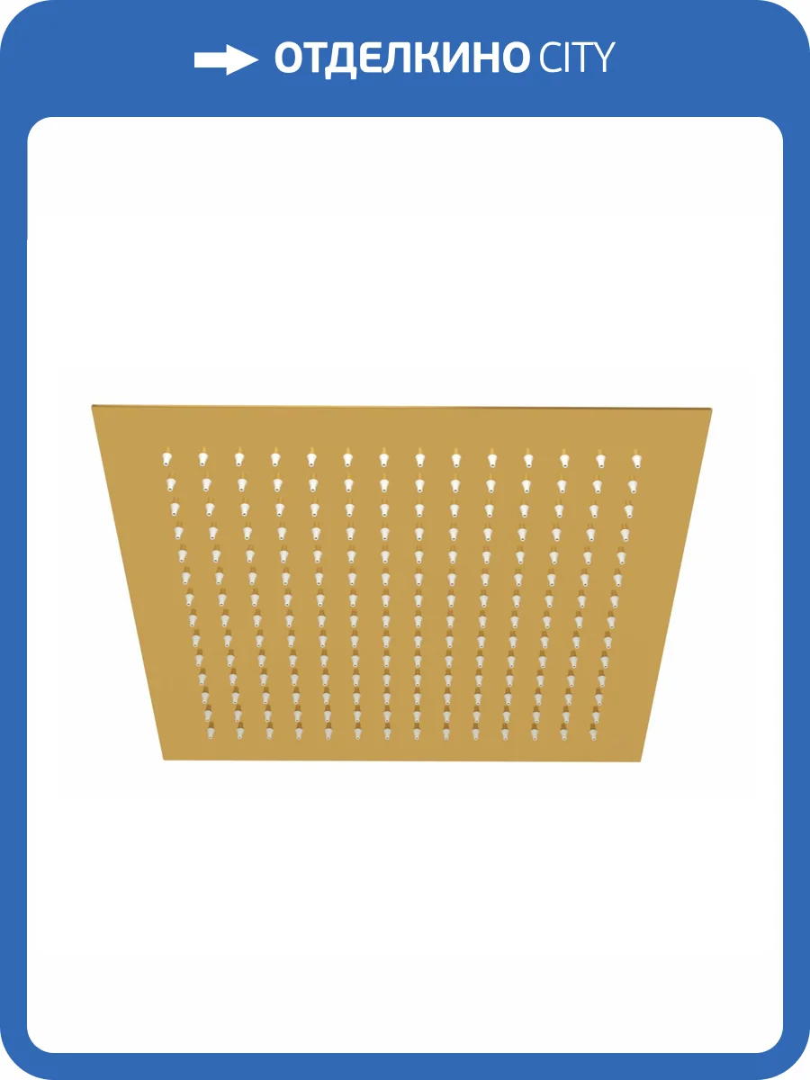 Верхний душ Wasserkraft Sauer A261 золотой фото 3