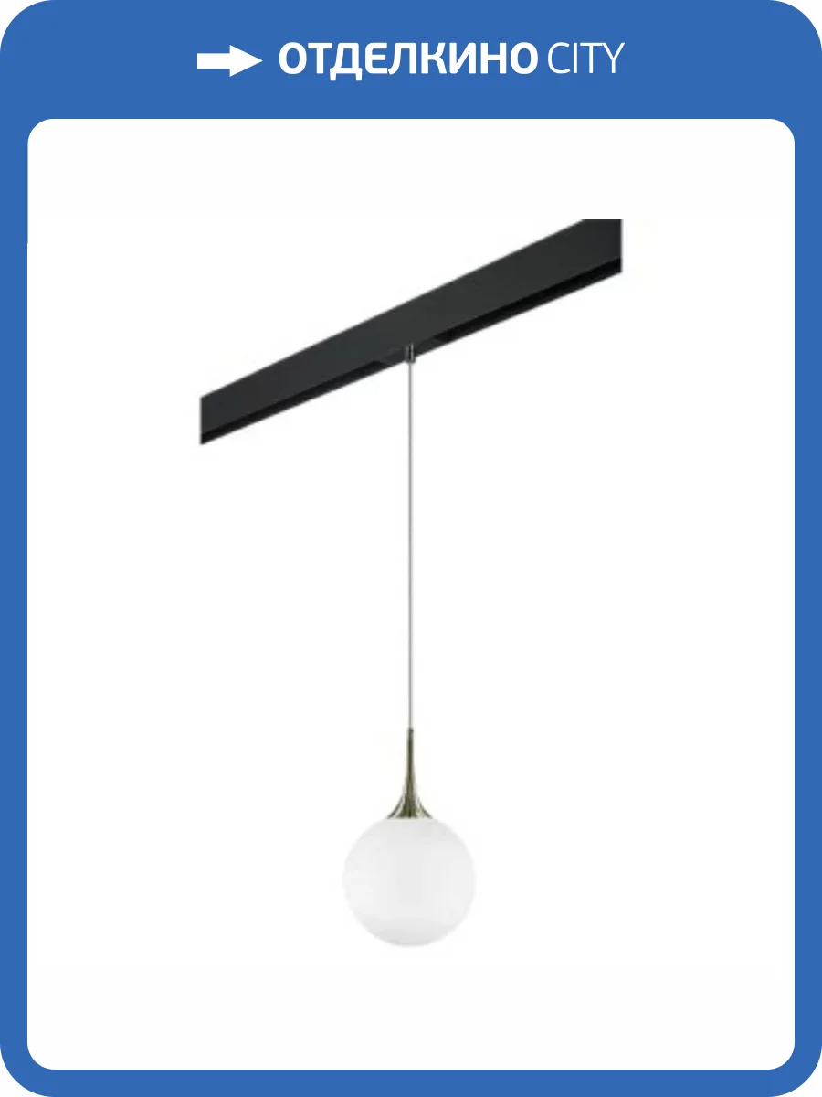 Трековый светильник Lightstar Globo (813031+595007) PRO813031 фото 2