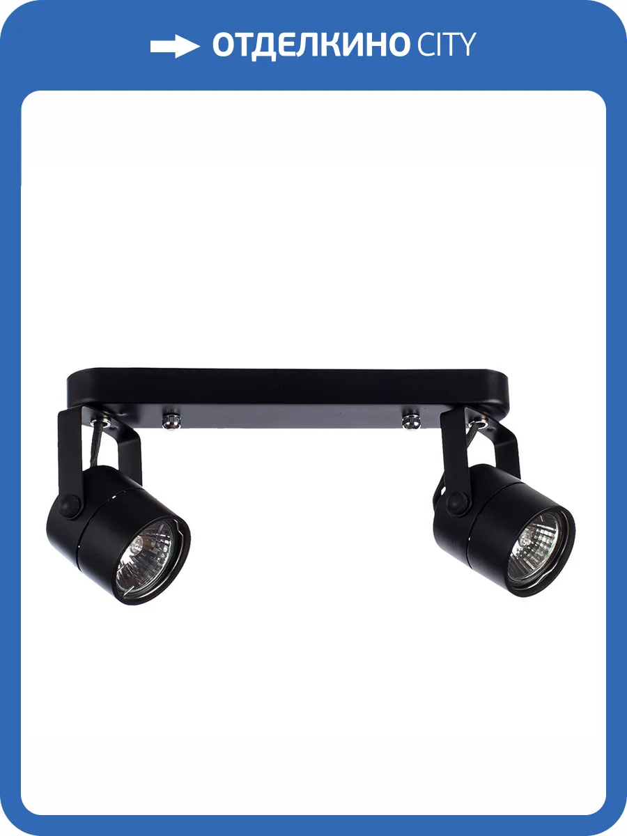 Спот Arte Lamp A1311PL-2BK фото 2