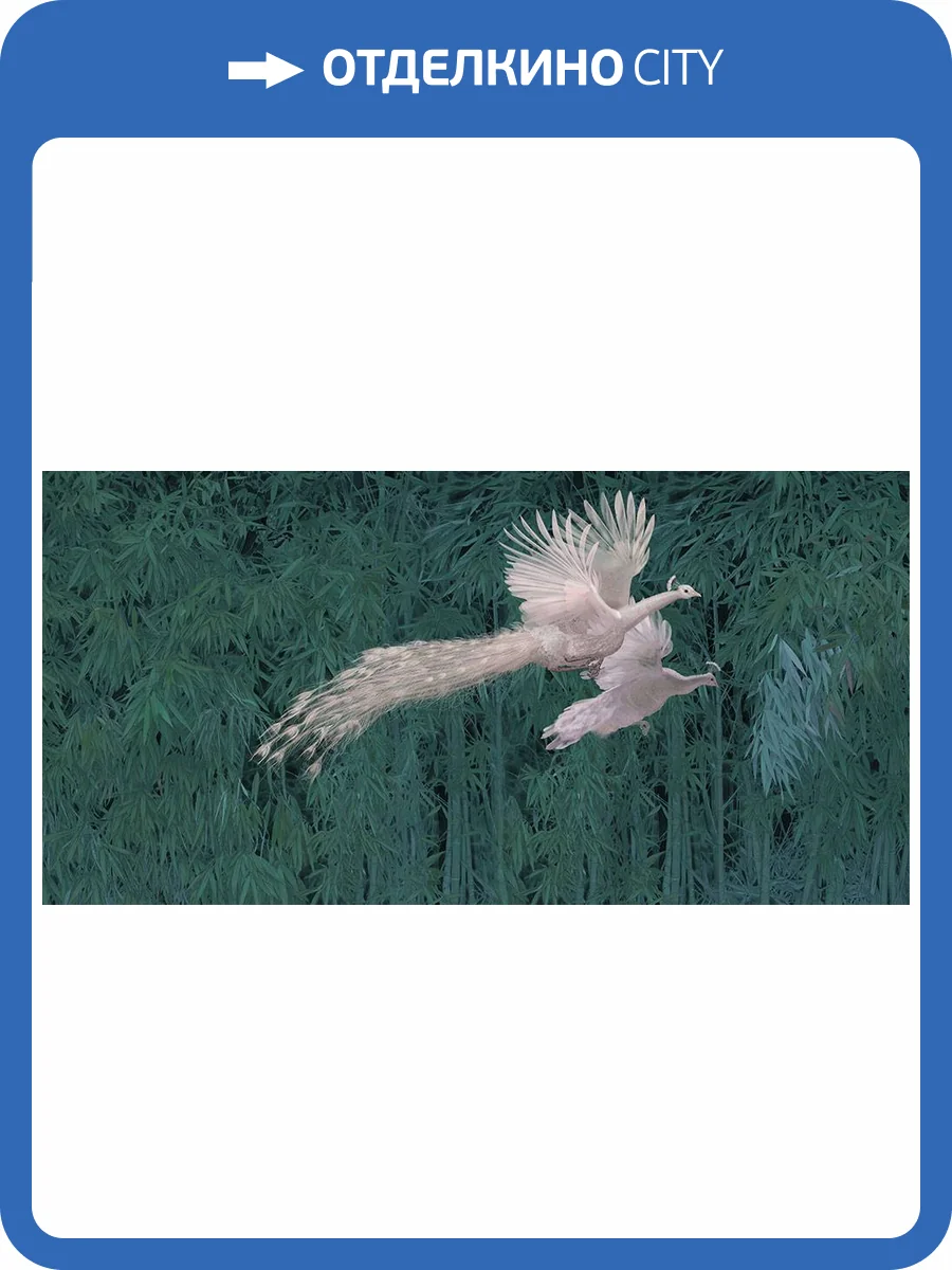 Фреска La Stanza Alba 800137 ардженто (размер на заказ) фото 2