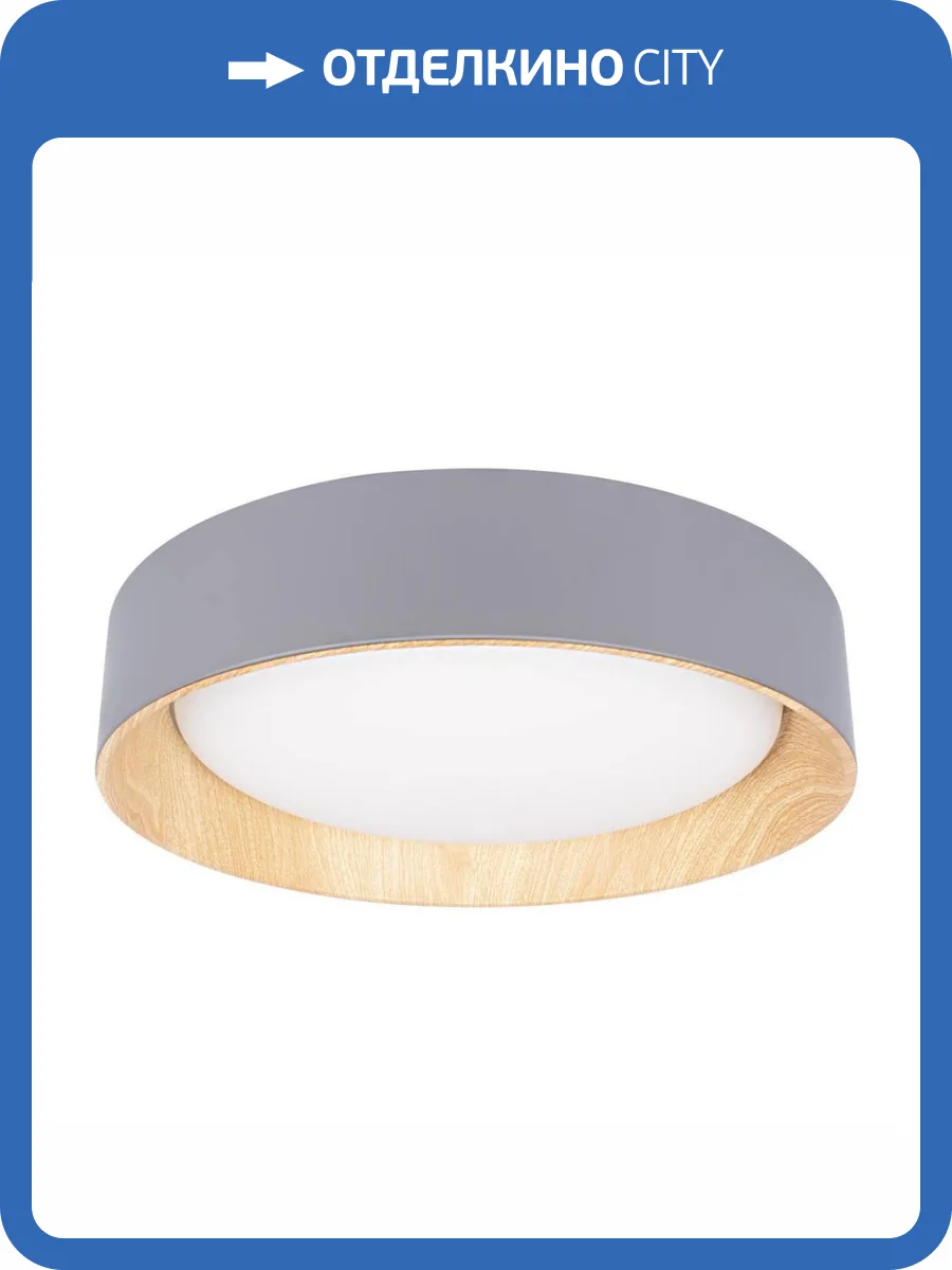 Потолочный светильник Loft IT Coin 10202 Grey фото 5