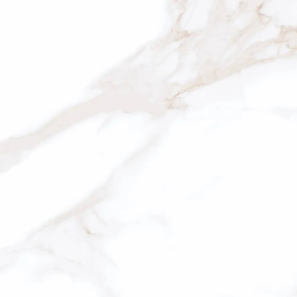 Керамогранит Wan Sheng Porcelain Tile AC-M6001 Матовый 60x60