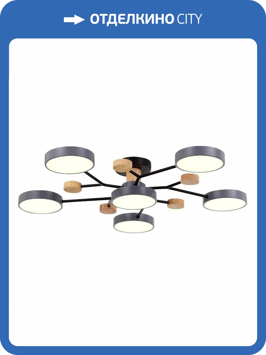 Потолочная люстра Evoluce Faema SLE6006-702-06 фото 2