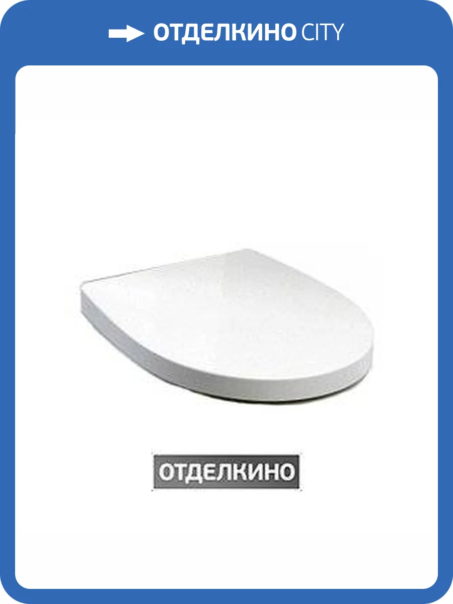 Крышка-сиденье Roca Victoria Nord ZRU9000023 петли хром фото 2