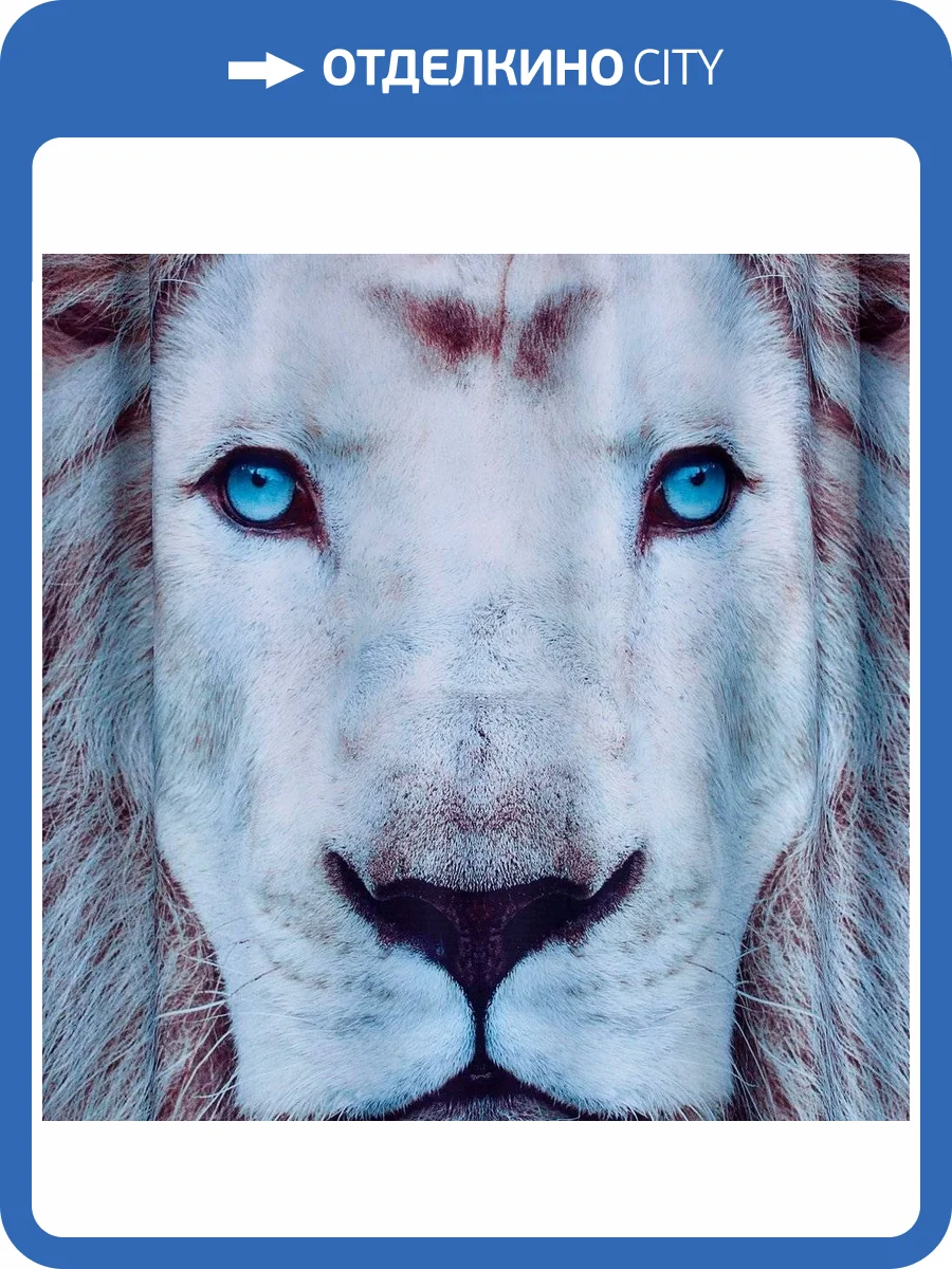 Штора для ванной Ridder Leo 42163000 180x200 фото 3