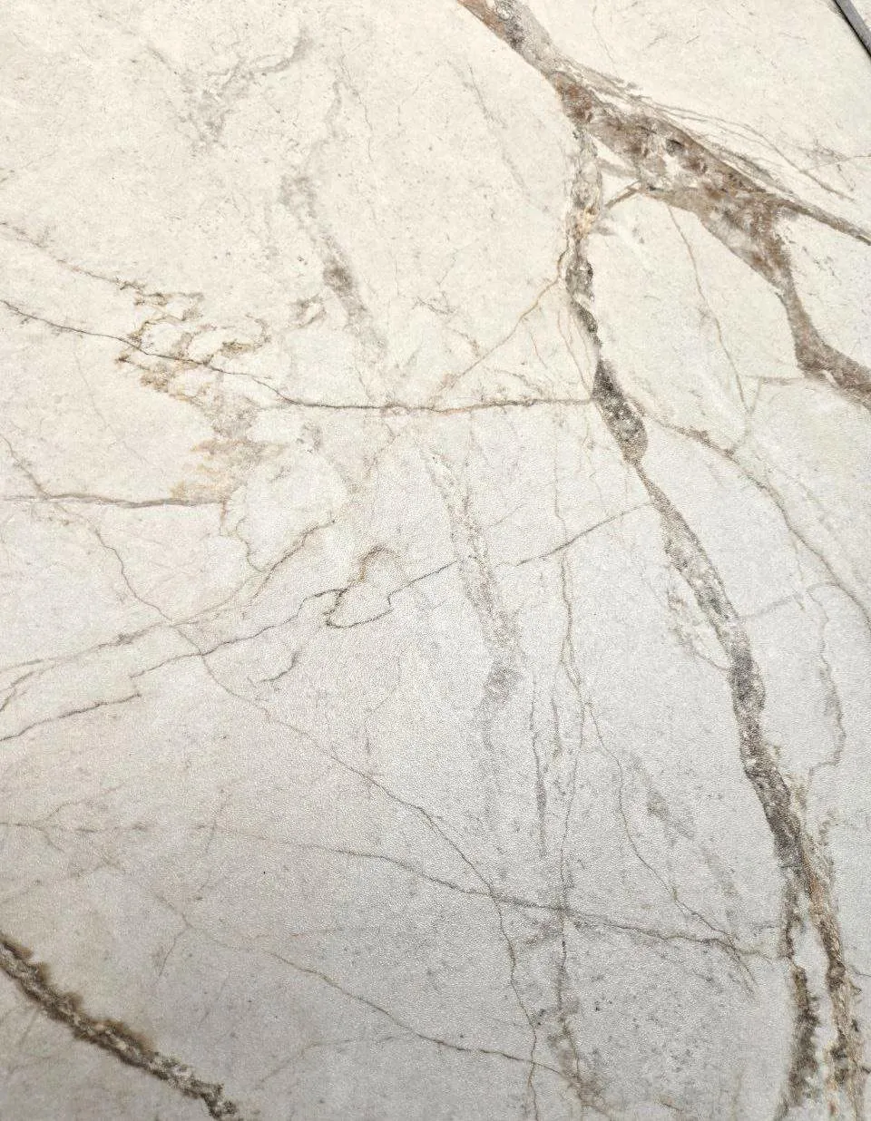 Vitra SilverRoot фото 3