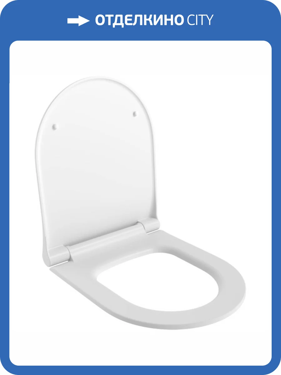 Крышка-сиденье Ambassador Nord 132T20101S с микролифтом фото 5