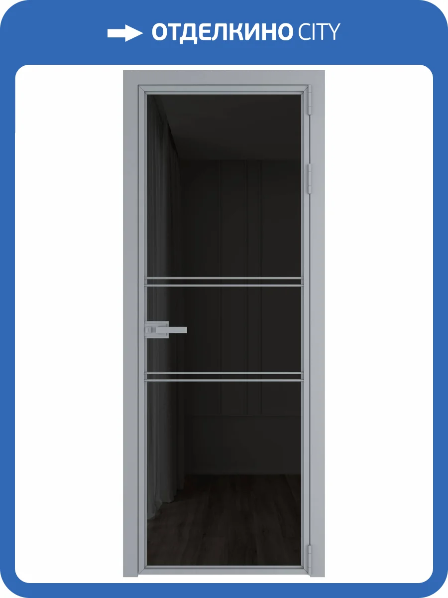 Межкомнатная дверь Profil Doors 2 AX цвет профиля Серебро, стекло безопасное 6 мм черное тонированное 800x2000 фото 2