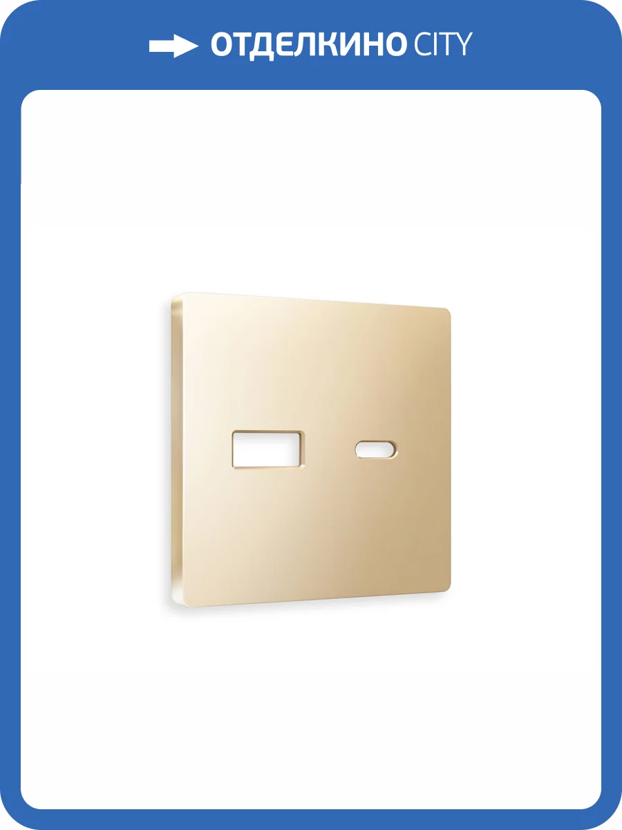 Лицевая панель для розетки 2USB A+C Ambrella Volt Alfa AP6110 шампань фото 3