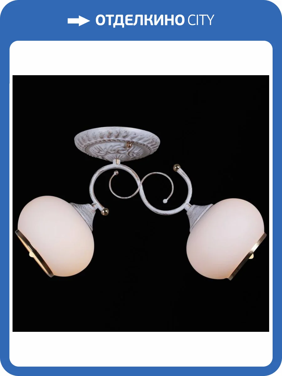 Потолочный светильник Reluce 31404-0.3-02 фото 4