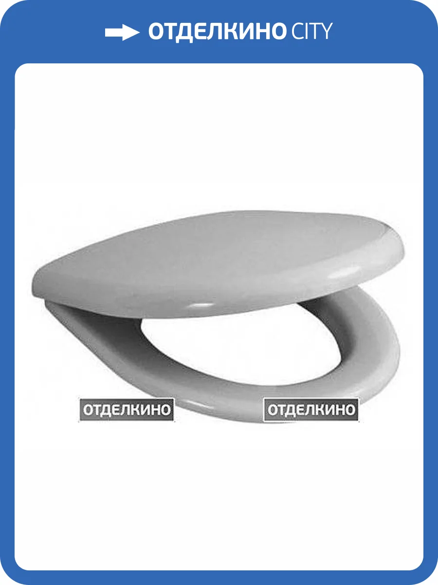 Крышка-сиденье Jacob Delafon Odeon E70006 с микролифтом, петли хром фото 2