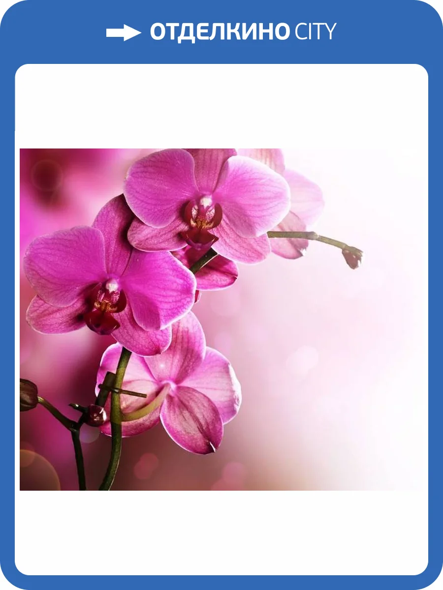 3D Фотообои Artegrafico «Розовая орхидея на нежном фоне» ORH-037 песок фото 2