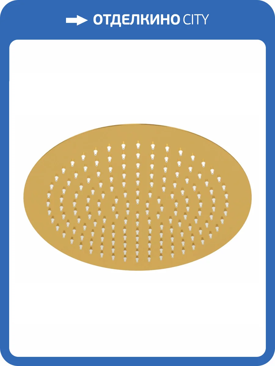 Верхний душ Wasserkraft Sauer A263 золотой фото 3