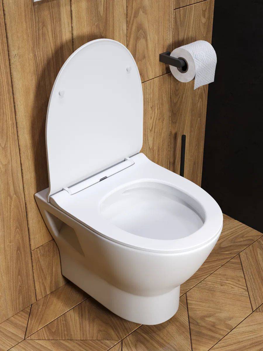 Унитаз подвесной Watersense Belinda W00149 безободковый, сиденье микролифт фото 8