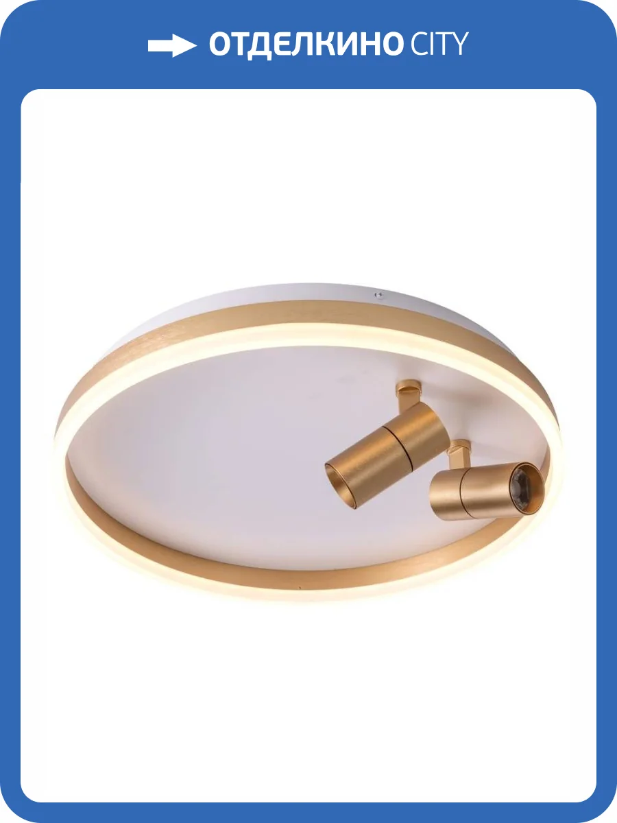 Потолочный светильник Zortes Raizy ZRS.1888.02 фото 8