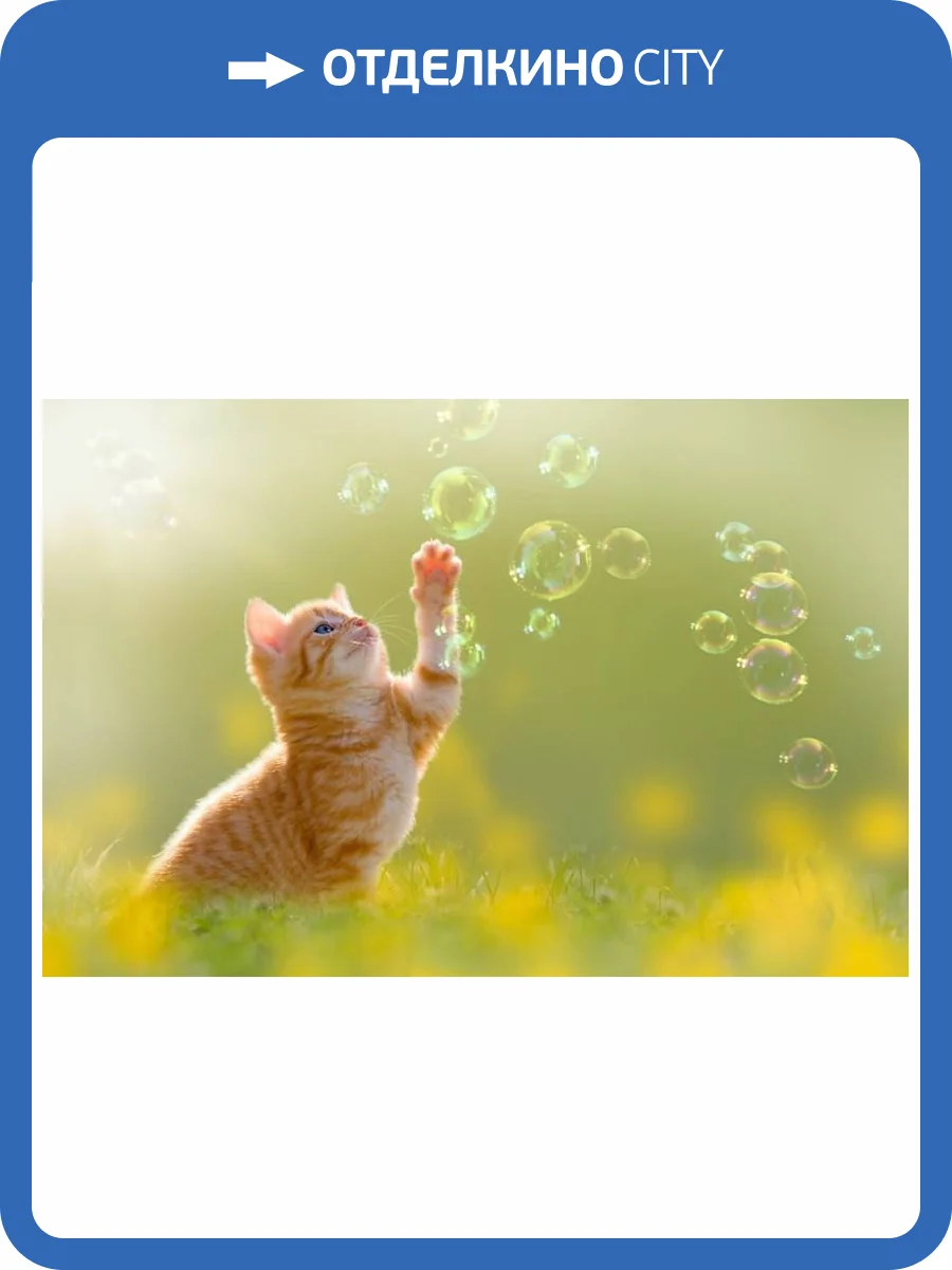 3D Фотообои Artegrafico «Рыжий кот с мыльными пузырями» WILD-021 акварель фото 2