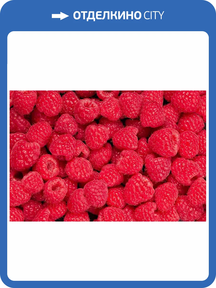 3D Фотообои Artegrafico «Малиновая композиция» FRUIT005 канвас фото 2