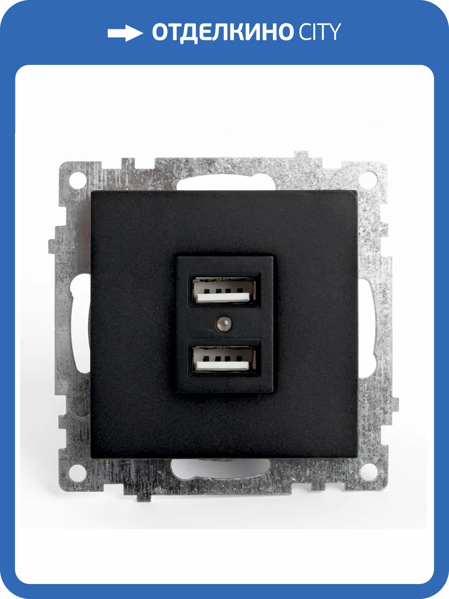 Розетка двойная с USB Stekker Катрин 39616 фото 2