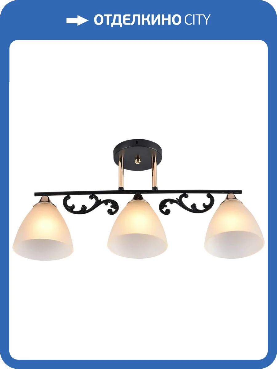 Потолочный светильник Reluce 01278-0.3-03B BK+FGD фото 5