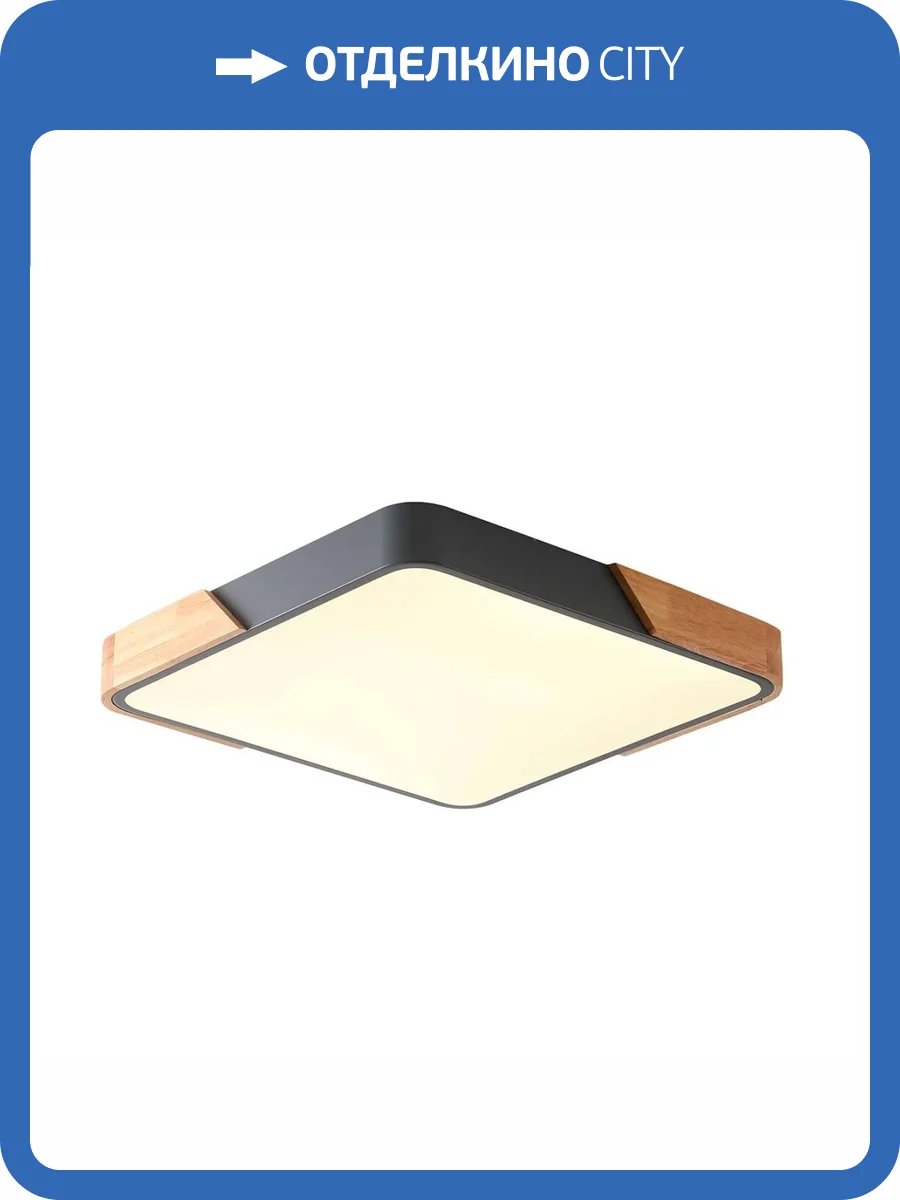 Потолочный светильник Zortes ALBERRO ZRS.01288.48 фото 6