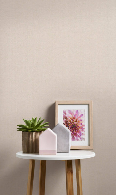 A.S. Creation Terra Aktion 2