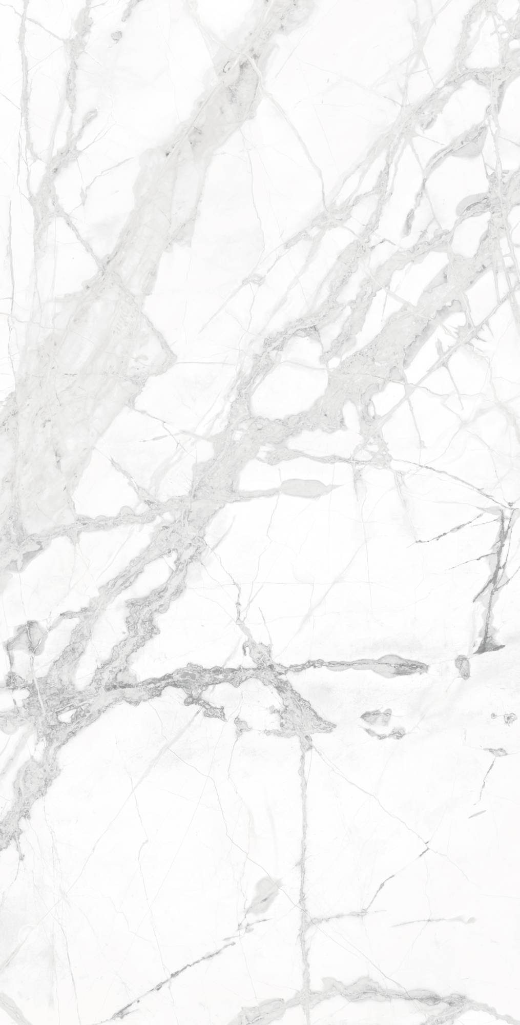 Керамогранит Arcadia Ceramica Diverso CR4023-A White Carving 60x120 фото 3