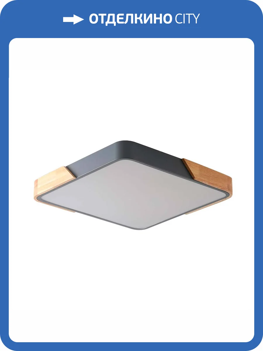 Потолочный светильник Zortes ALBERRO ZRS.01288.60 фото 6