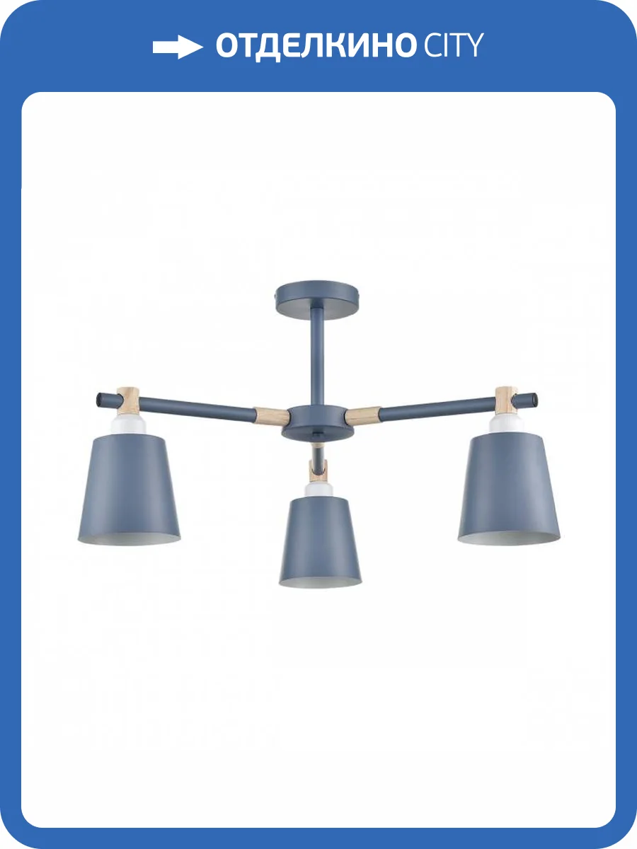 Люстра потолочная Lumion Moderni 8098/3C фото 2