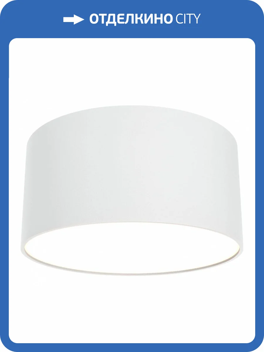 Потолочный светильник Technical Zon C032CL-12W3K-RD-W фото 5