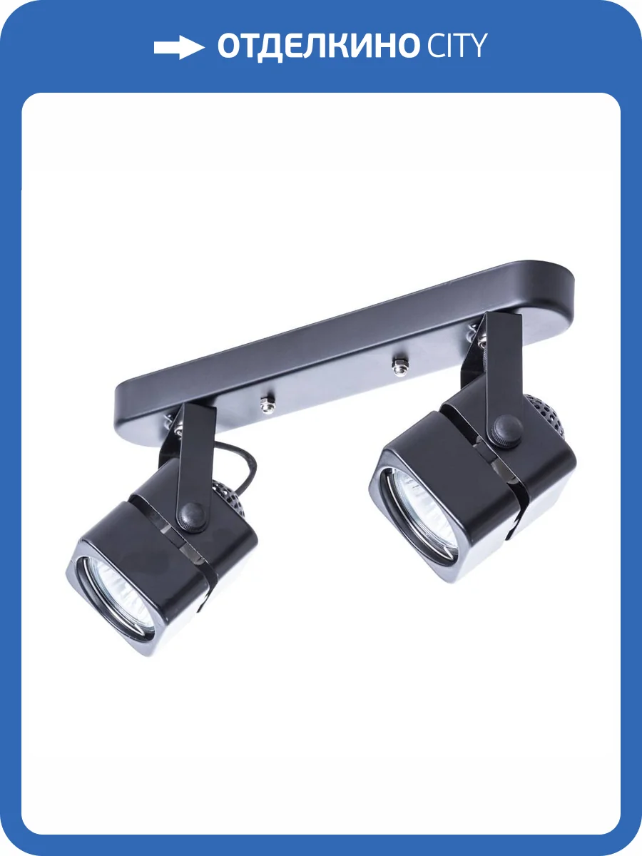 Потолочный светильник Arte Lamp A1315PL-2BK фото 6