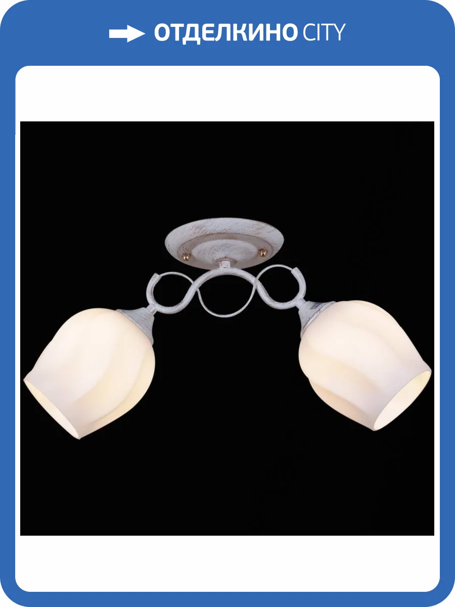 Потолочный светильник Reluce 31379-0.3-02 фото 4