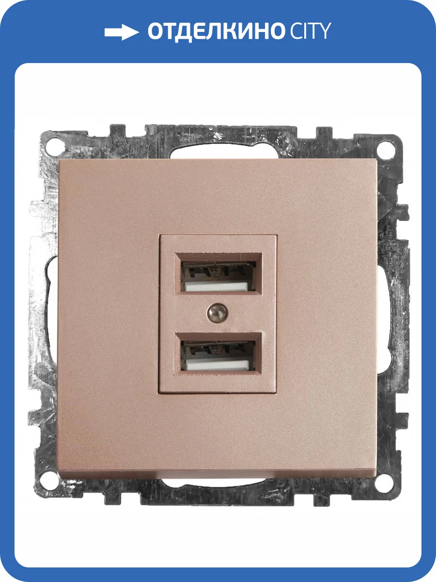 Розетка двойная с USB Stekker Катрин 39602 фото 2