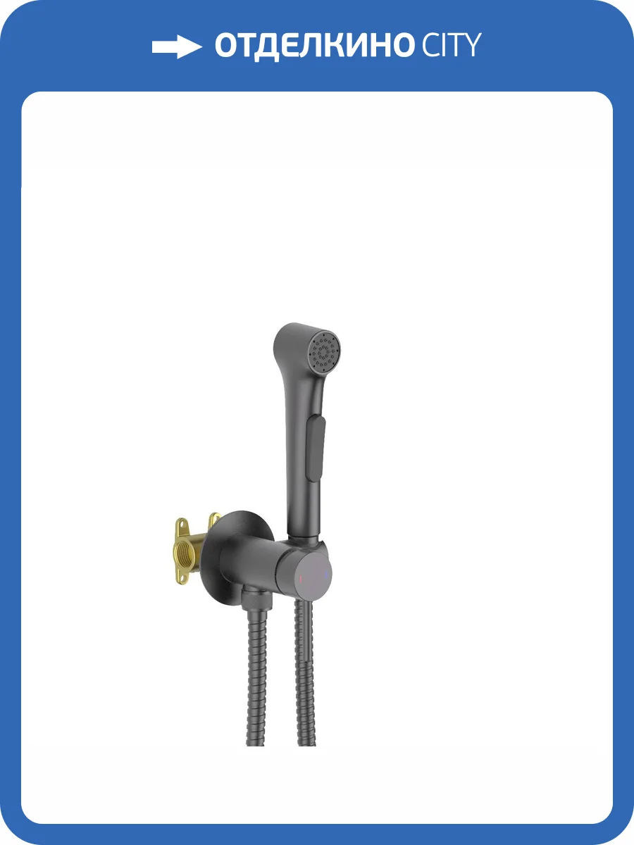 Гигиенический душ Aquatek Европа AQ1020BGM оружейная сталь фото 5