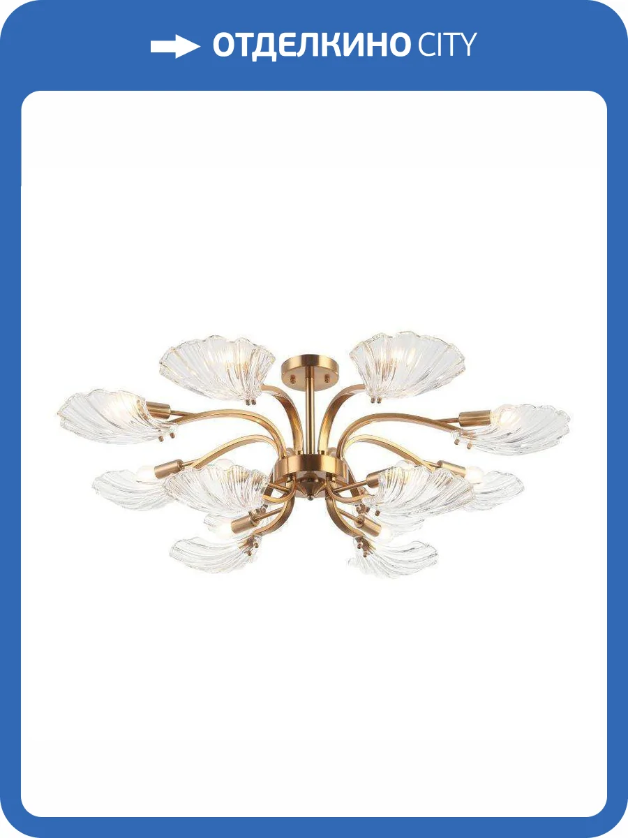 Потолочная люстра Stilfort Muschel 2153/05/12P фото 2