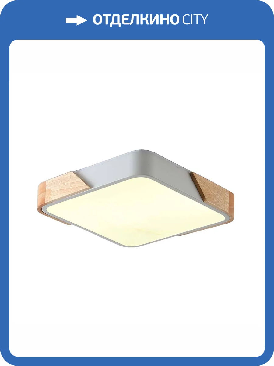 Потолочный светильник Zortes ALBERRO ZRS.01285.24 фото 6