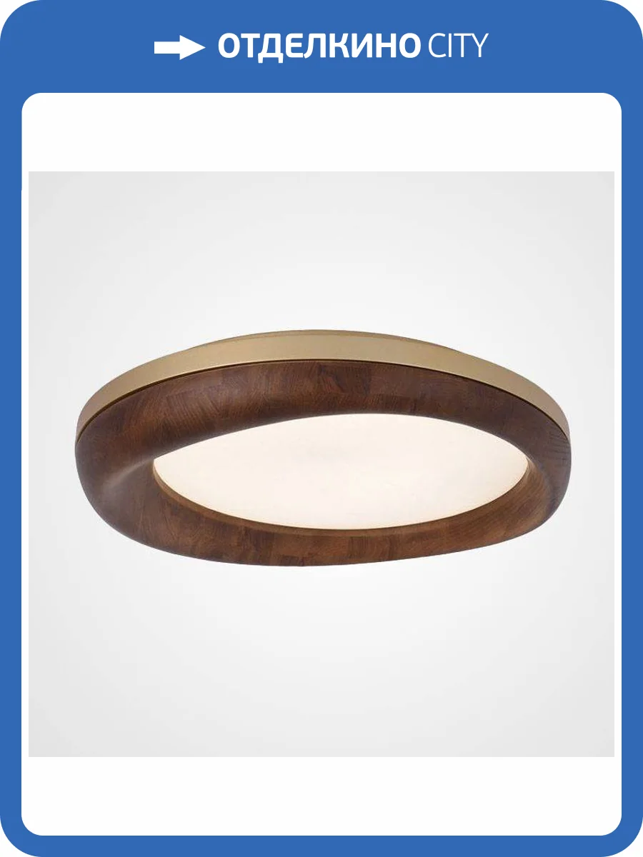 Потолочный светодиодный светильник Imperium Loft Runis 219475-26 фото 8