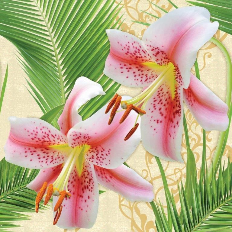Belleza Lily фото 3