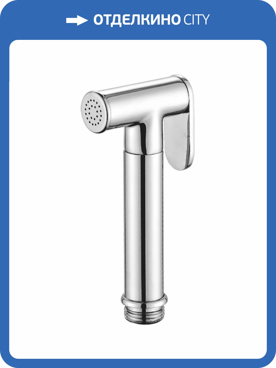 Гигиеническая лейка Raglo R460.03 хром фото 2